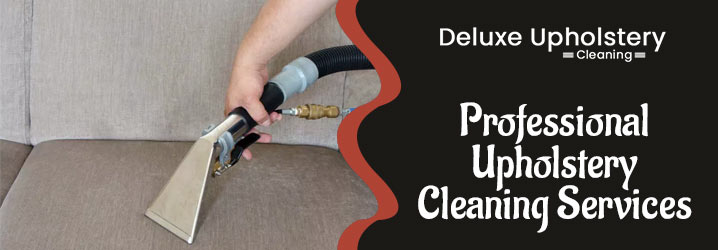 Professional Upholstery Cleaning-Services
