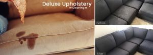 6 Upholstery Cleaning Mistakes You Should Avoid!